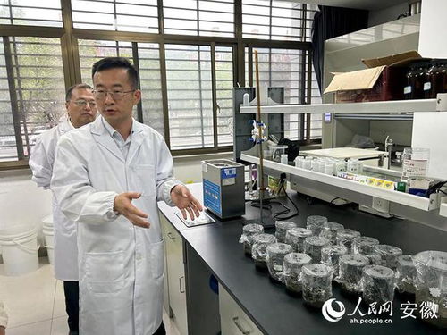 東華科技媒體開放日 新材料技術研發引領行業新篇章