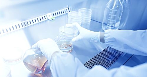 吉雷新材料 以“材”賦能，勇做新材料技術(shù)研發(fā)領(lǐng)域的創(chuàng)新者